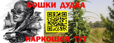 ГАЛЛЮЦИНОГЕННЫЕ ГРИБЫ Будённовск