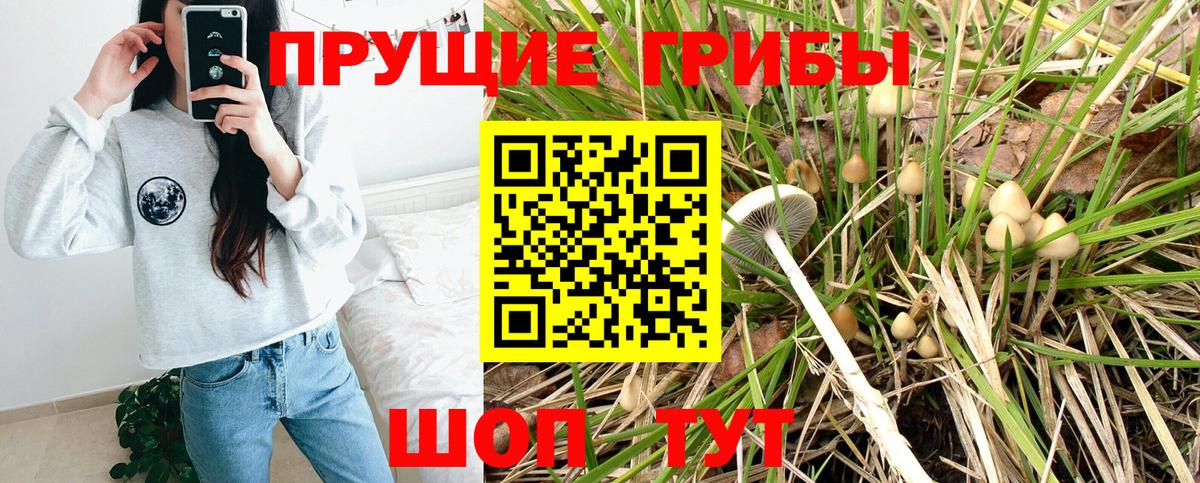 Галлюциногенные грибы мухоморы  Галлюциногенные грибы Psilocybine cubensis  Вход с VPN  Карабулак 